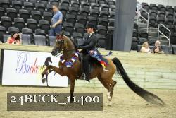 24BUCK_11400 thumbnail