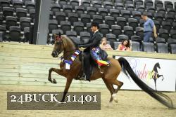 24BUCK_11401 thumbnail