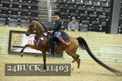 24BUCK_11403 thumbnail