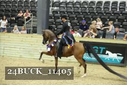 24BUCK_11405 thumbnail