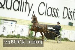 24BUCK_11409 thumbnail