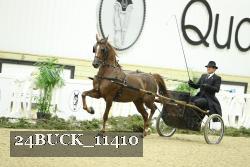24BUCK_11410 thumbnail