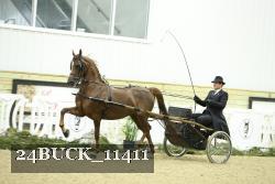 24BUCK_11411 thumbnail