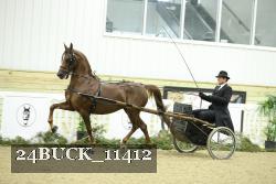 24BUCK_11412 thumbnail