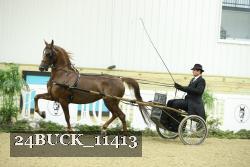 24BUCK_11413 thumbnail