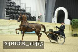 24BUCK_11415 thumbnail