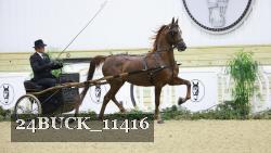 24BUCK_11416 thumbnail