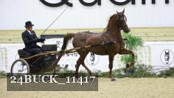 24BUCK_11417 thumbnail