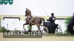 24BUCK_11419 thumbnail