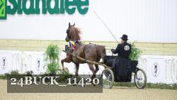 24BUCK_11420 thumbnail