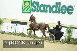 24BUCK_11421 thumbnail