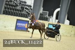 24BUCK_11422 thumbnail