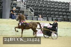 24BUCK_11424 thumbnail