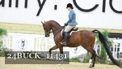 24BUCK_11431 thumbnail