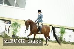 24BUCK_11432 thumbnail