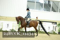 24BUCK_11434 thumbnail