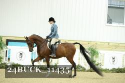 24BUCK_11435 thumbnail