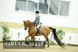 24BUCK_11438 thumbnail