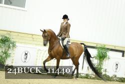 24BUCK_11440 thumbnail