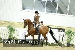24BUCK_11441 thumbnail