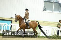 24BUCK_11442 thumbnail