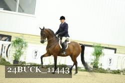 24BUCK_11443 thumbnail