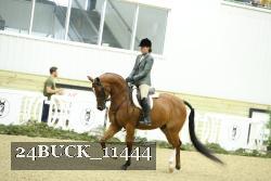 24BUCK_11444 thumbnail