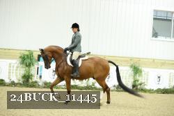 24BUCK_11445 thumbnail