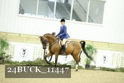 24BUCK_11447 thumbnail