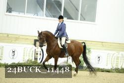 24BUCK_11448 thumbnail