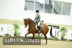 24BUCK_11451 thumbnail
