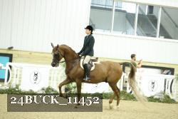 24BUCK_11452 thumbnail