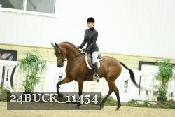 24BUCK_11454 thumbnail