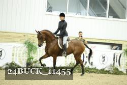 24BUCK_11455 thumbnail