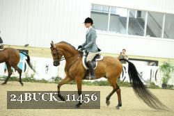24BUCK_11456 thumbnail