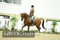 24BUCK_11459 thumbnail