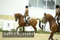 24BUCK_11461 thumbnail