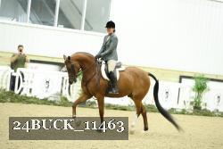 24BUCK_11463 thumbnail
