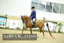 24BUCK_11466 thumbnail