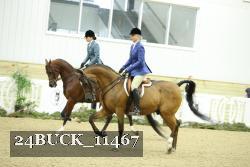 24BUCK_11467 thumbnail