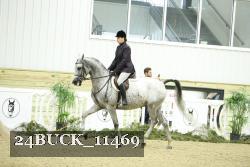 24BUCK_11469 thumbnail