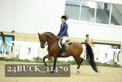 24BUCK_11470 thumbnail