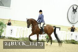 24BUCK_11473 thumbnail