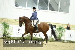 24BUCK_11475 thumbnail