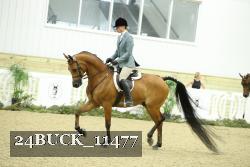 24BUCK_11477 thumbnail