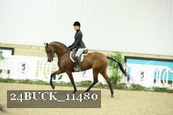 24BUCK_11480 thumbnail