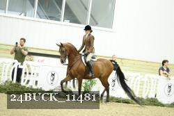 24BUCK_11481 thumbnail