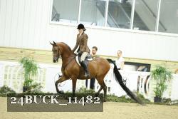 24BUCK_11482 thumbnail