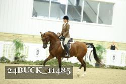 24BUCK_11485 thumbnail