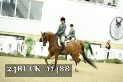 24BUCK_11488 thumbnail